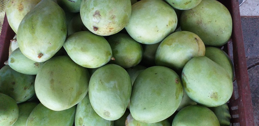 Mango filipino