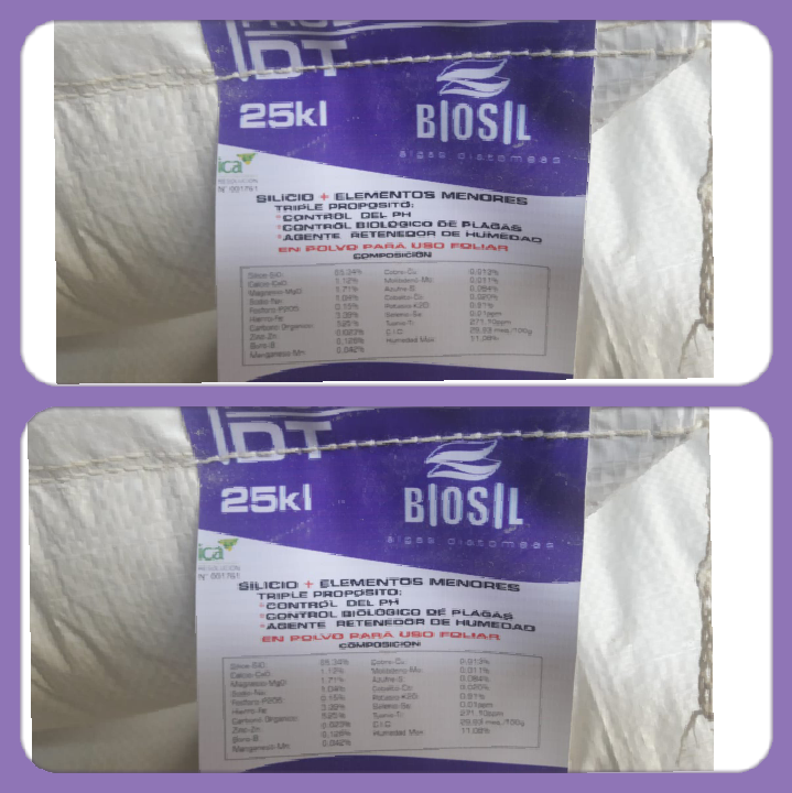 Insecticida, fungicida y fertilizante biosil D.T