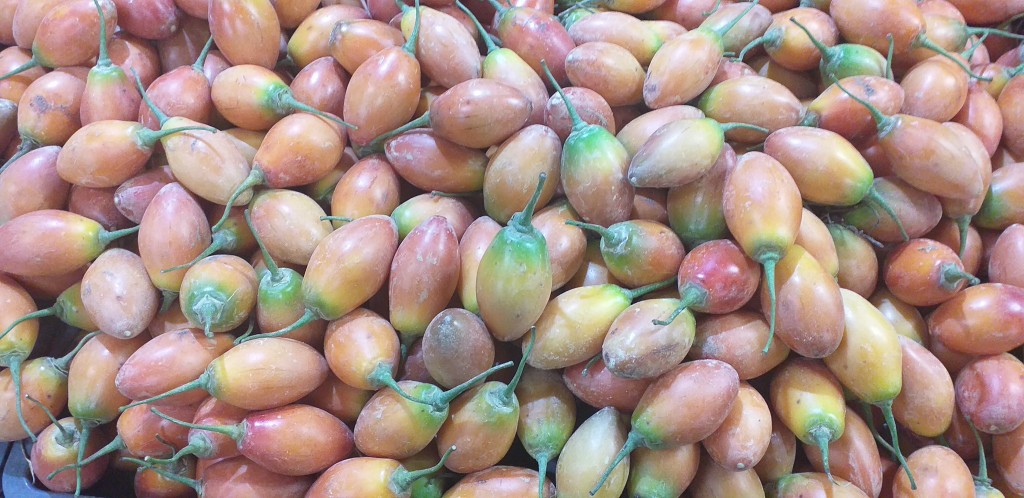 Tomate de arbol 2da