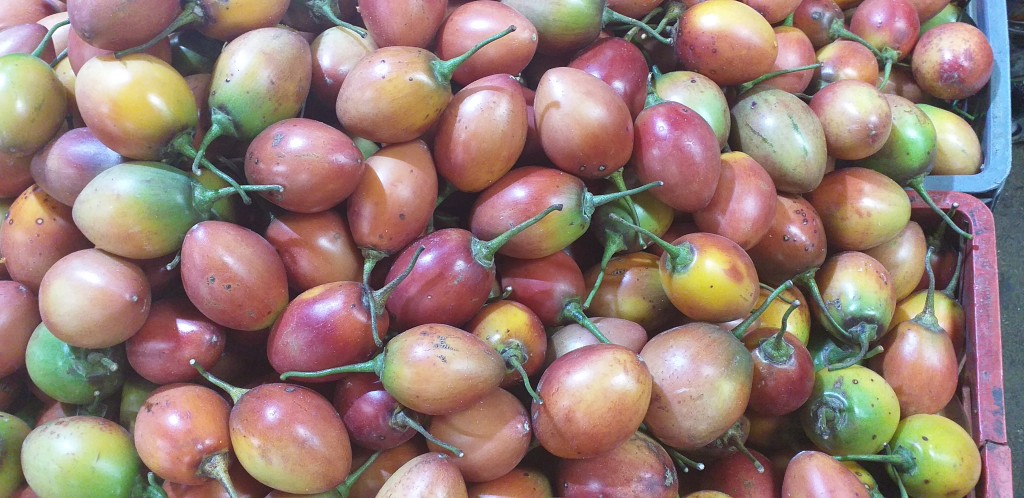 Tomate de arbol