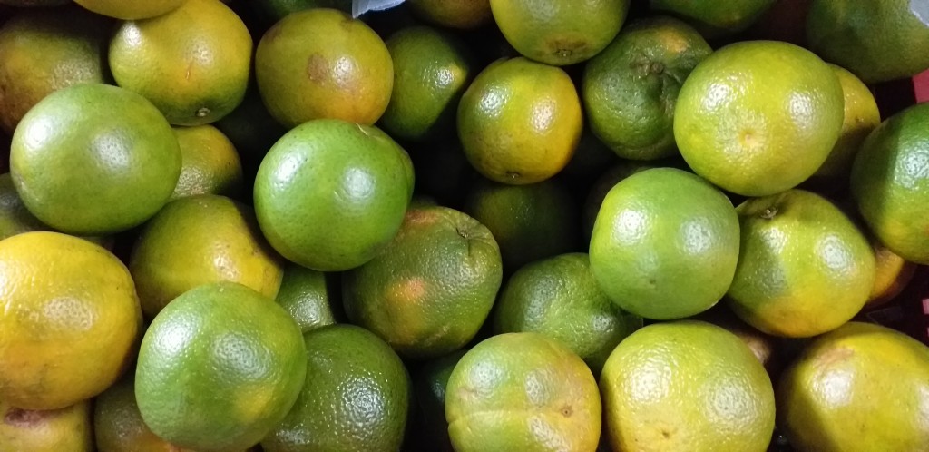 Naranja valencia