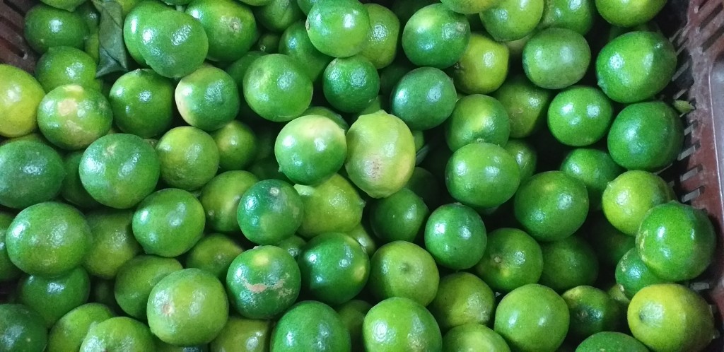 Limon tahiti