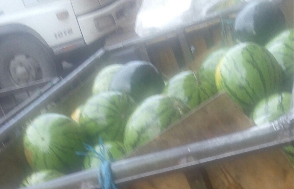 Sandia