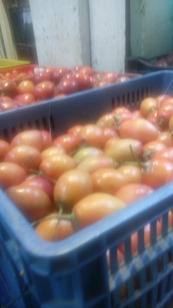 Tomate de arbol