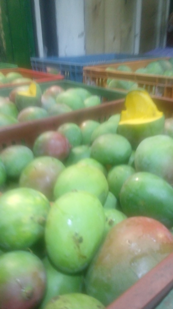 Mango
