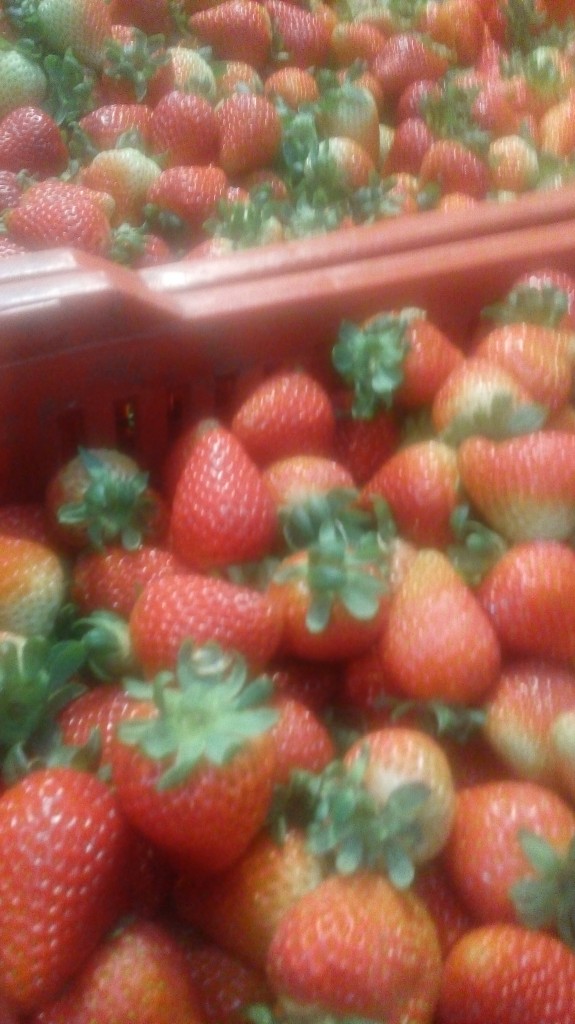 Fresas