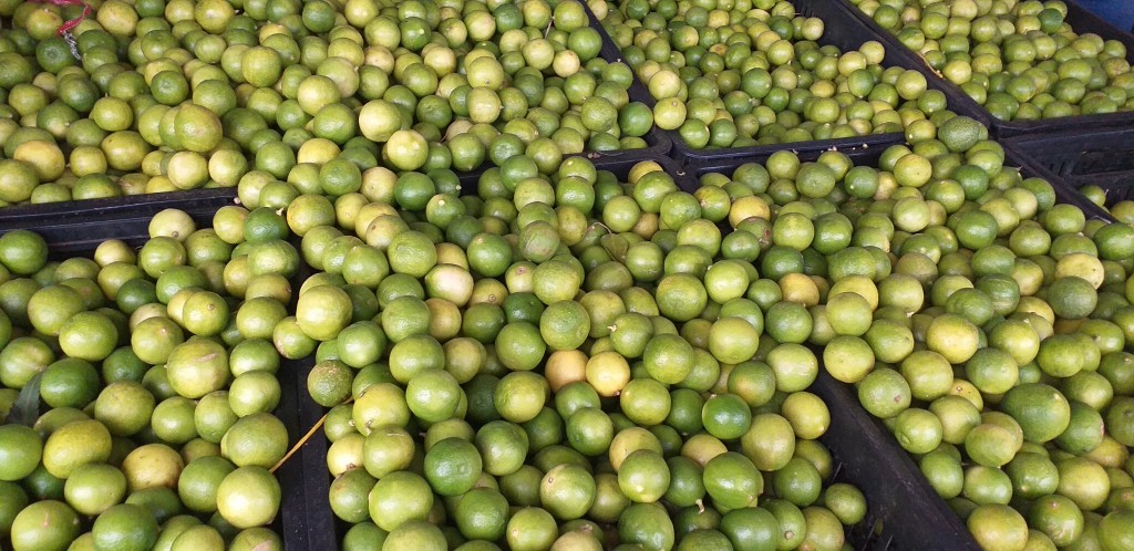 Limon criollo