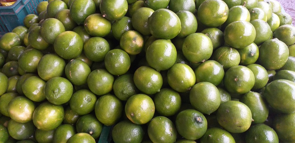 Limon tahiti grueso