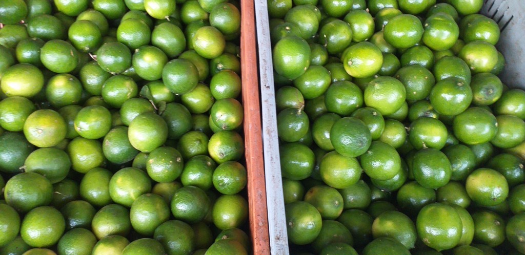 Limon tahiti delgado