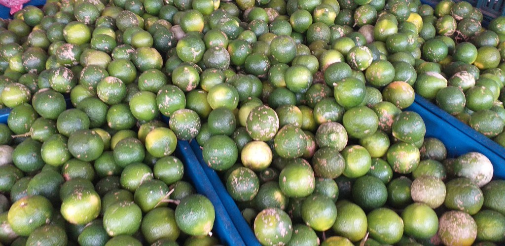 Limon mandarino
