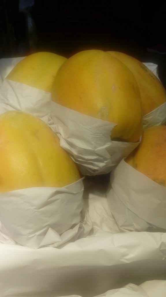 Papaya