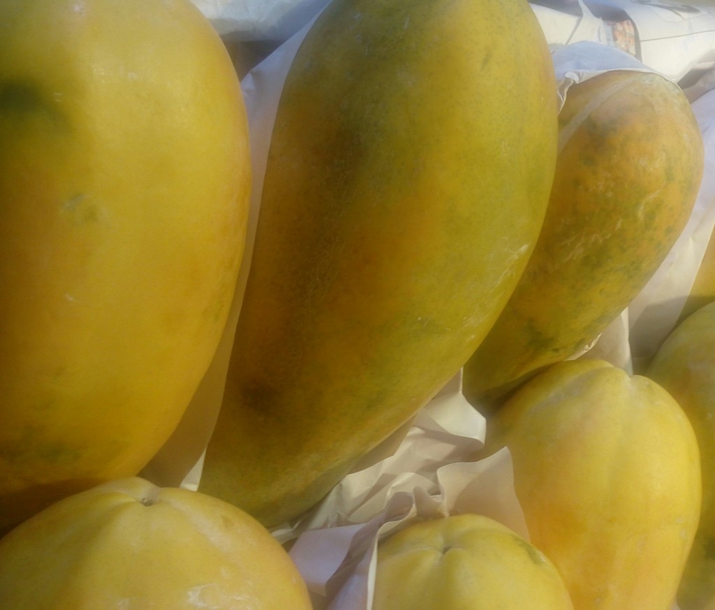 Papaya