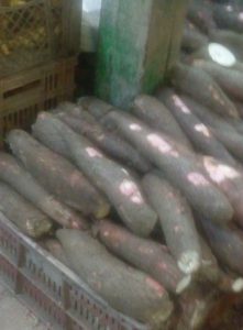 Yuca