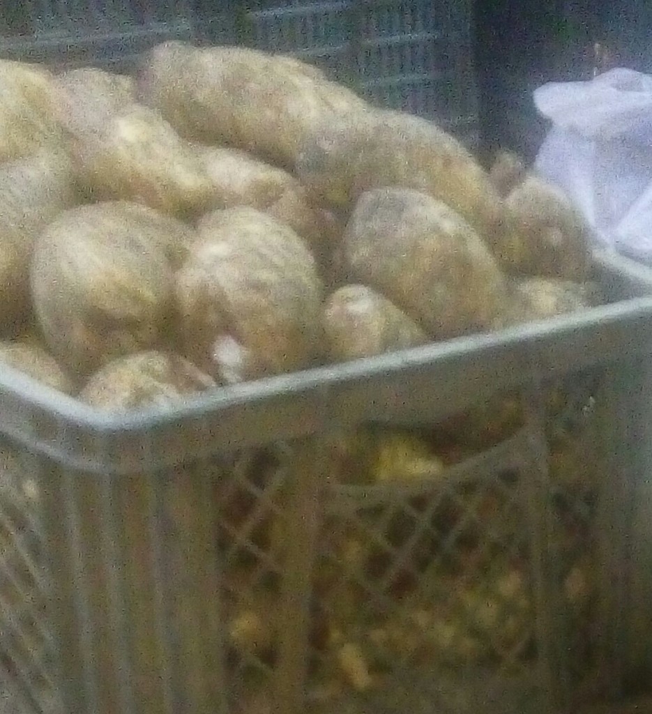 Arracacha