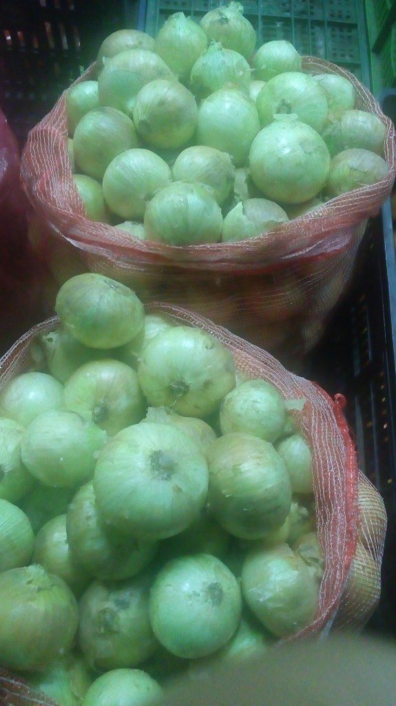 Cebolla cabezona pareja