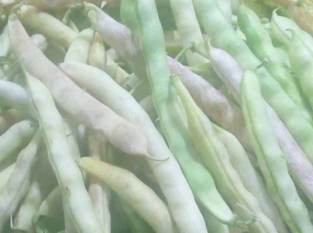 Frijol en cascara
