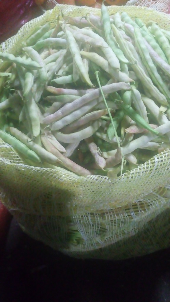 Frijol en cascara