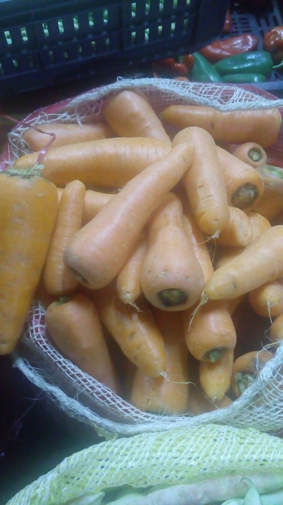 Zanahoria gruesa
