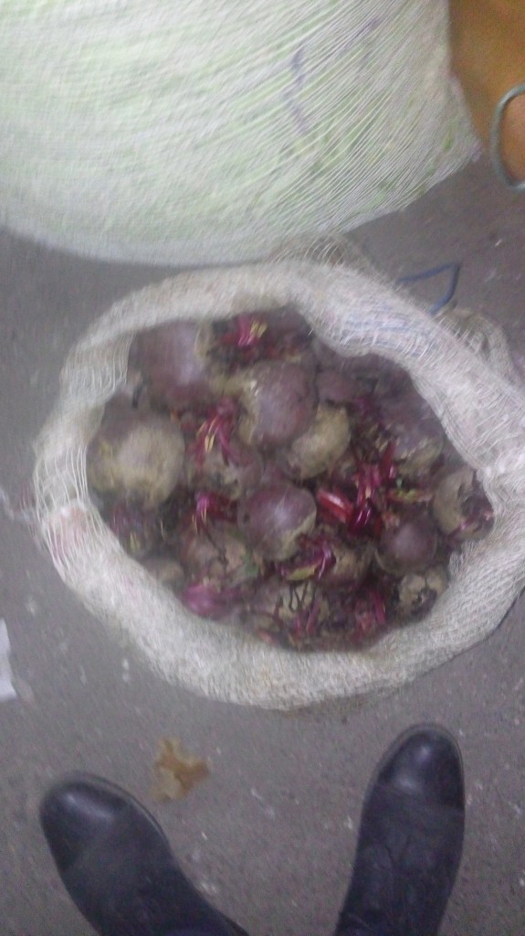 Remolacha