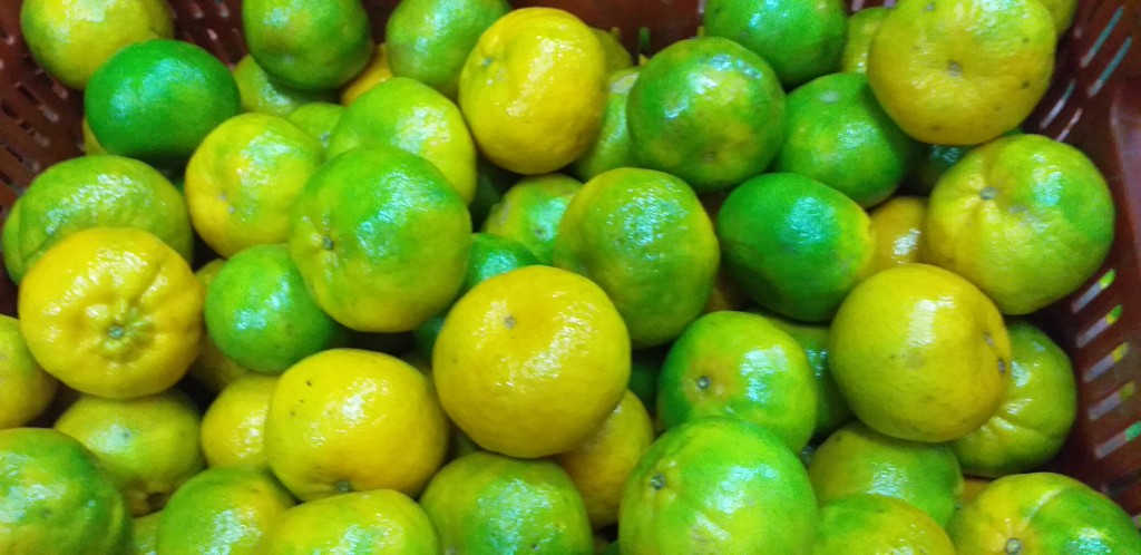 Mandarina oneco 1ra