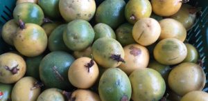 Maracuya corriente