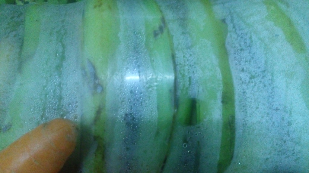 Plátanos verdes