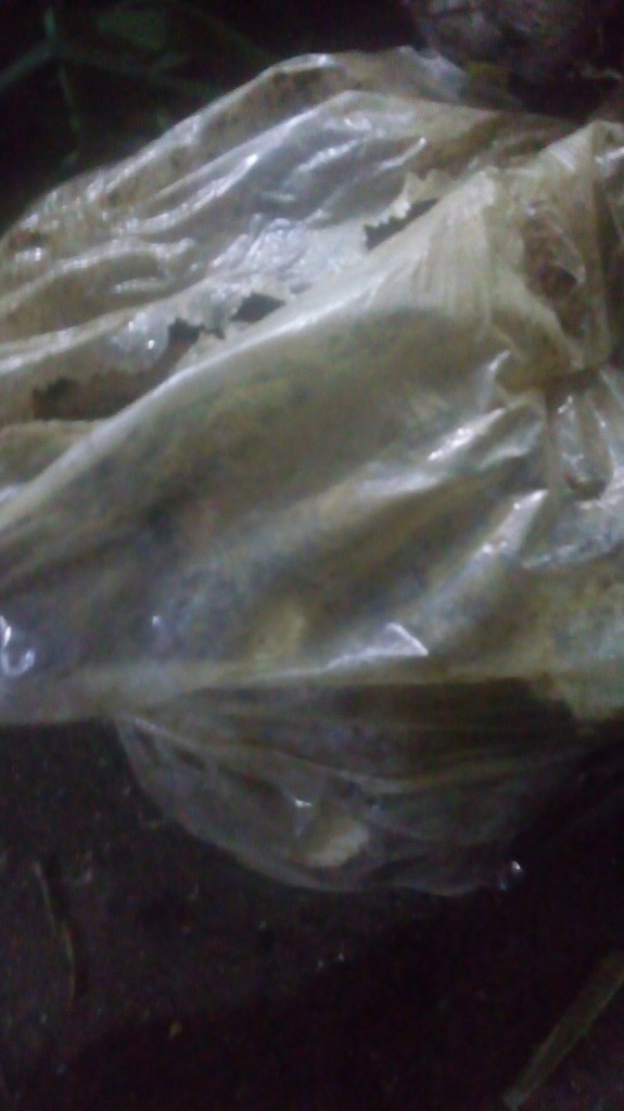 Yuca regular
