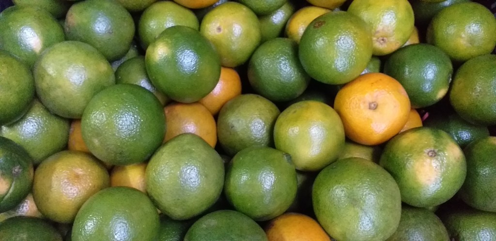 Naranja valencia de 2da