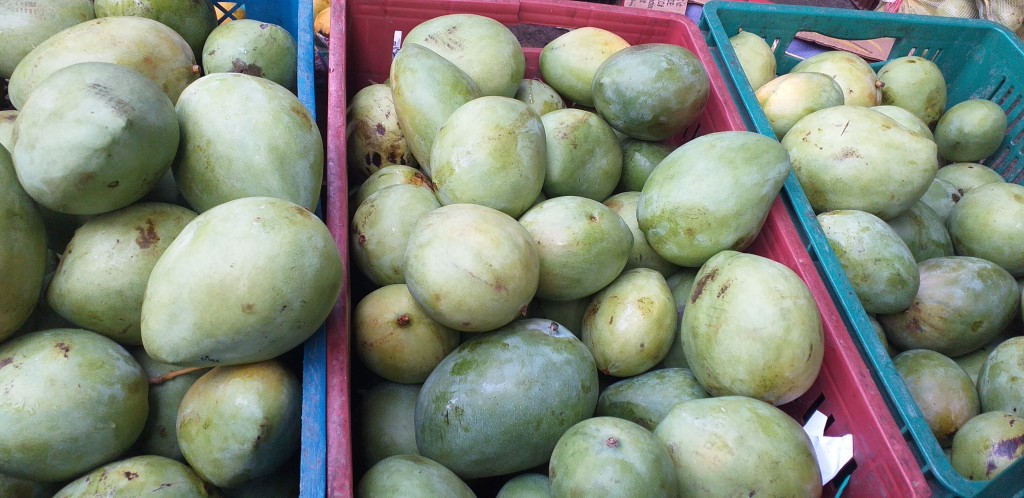 Mango filipino