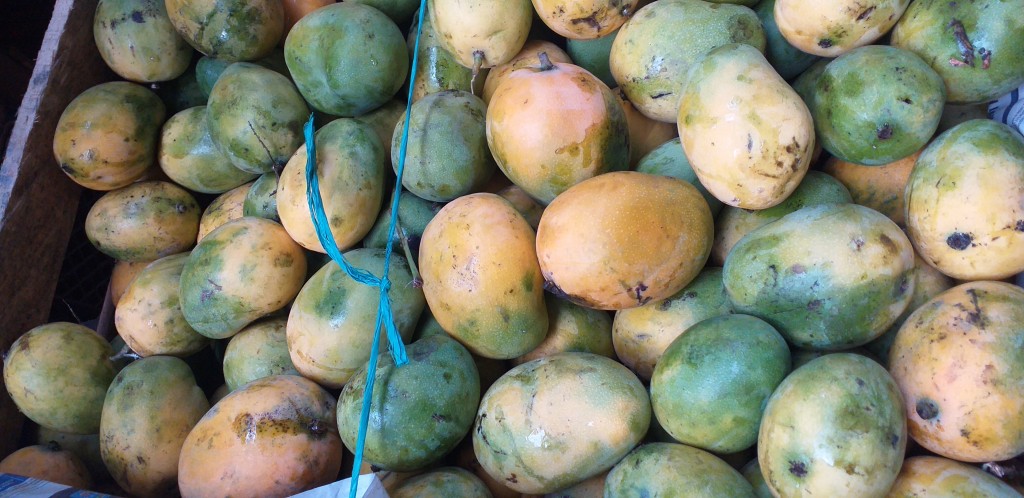 Mango criollo