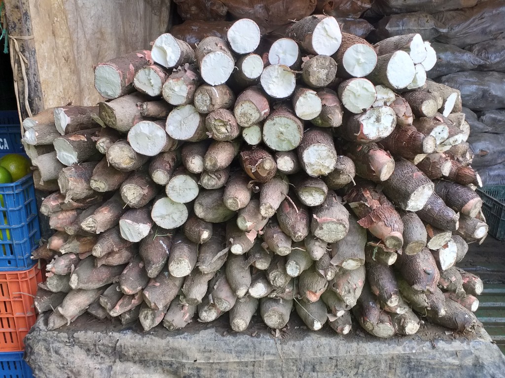 Yuca suelta