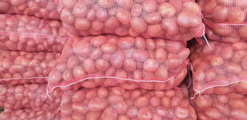 Papa capira gruesa/50kg