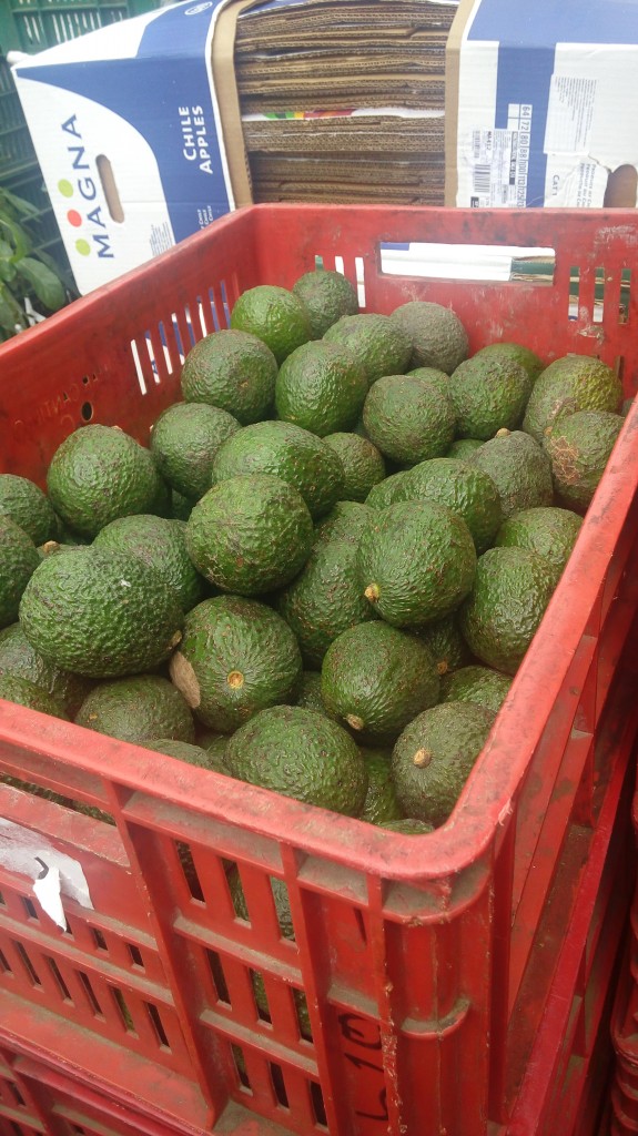 Aguacate Hass de tercera