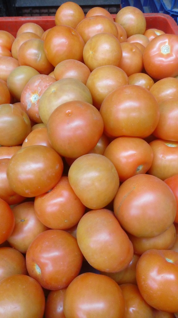 Tomate chonto de segunda
