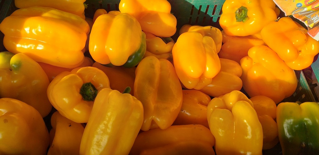 Pimenton amarillo