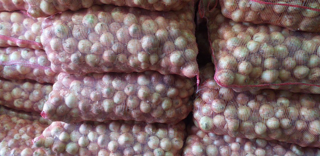 Cebolla blanca gruesa/48kg