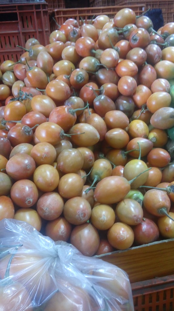 Tomate de arbol