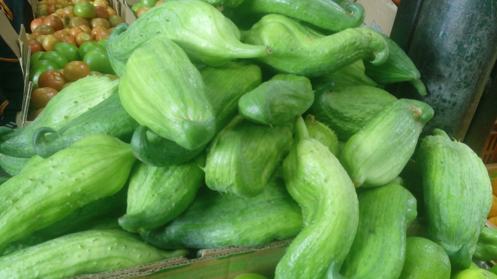 Pepino para guiso