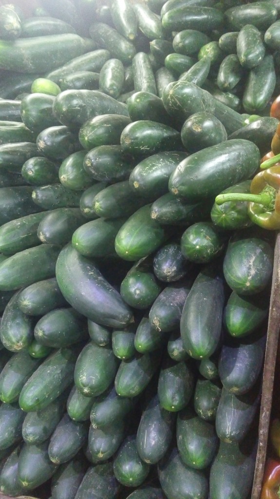 Pepino cohombro