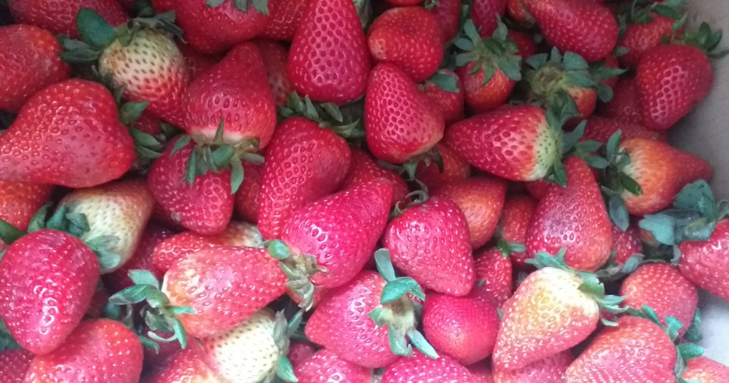 Fresas de 2da
