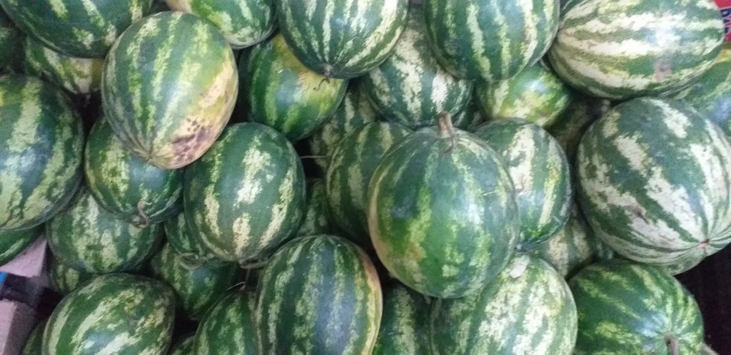 Sandia delgada