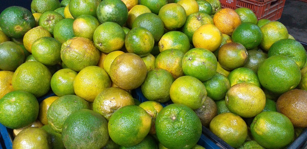 Naranja washington