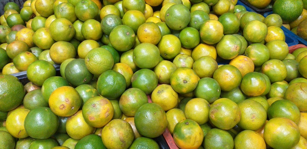 Naranja valencia 2da
