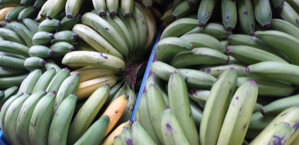 Banano criollo verde