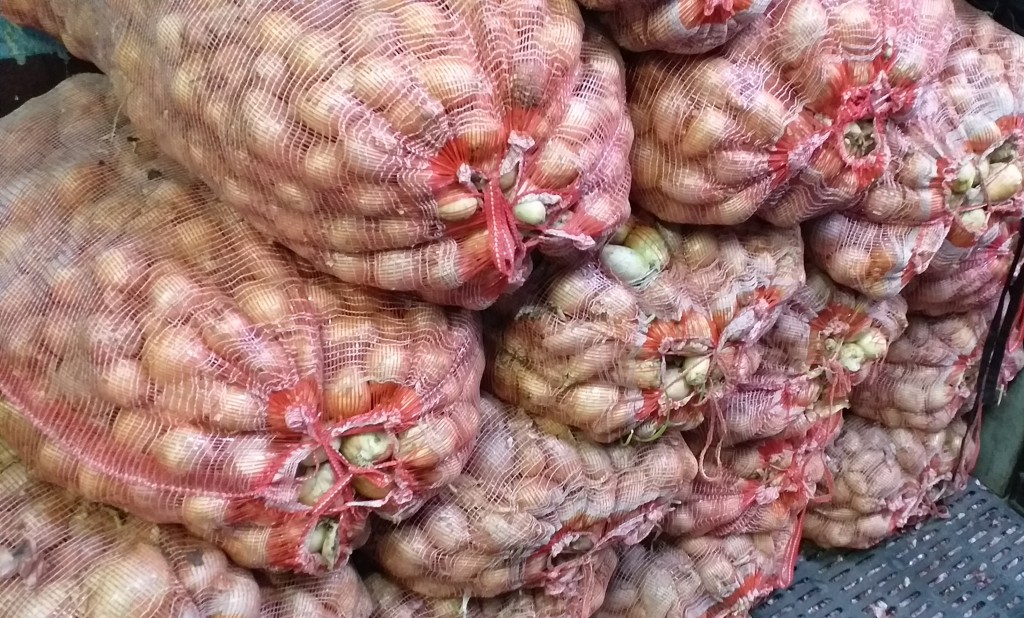Cebolla blanca/50kg