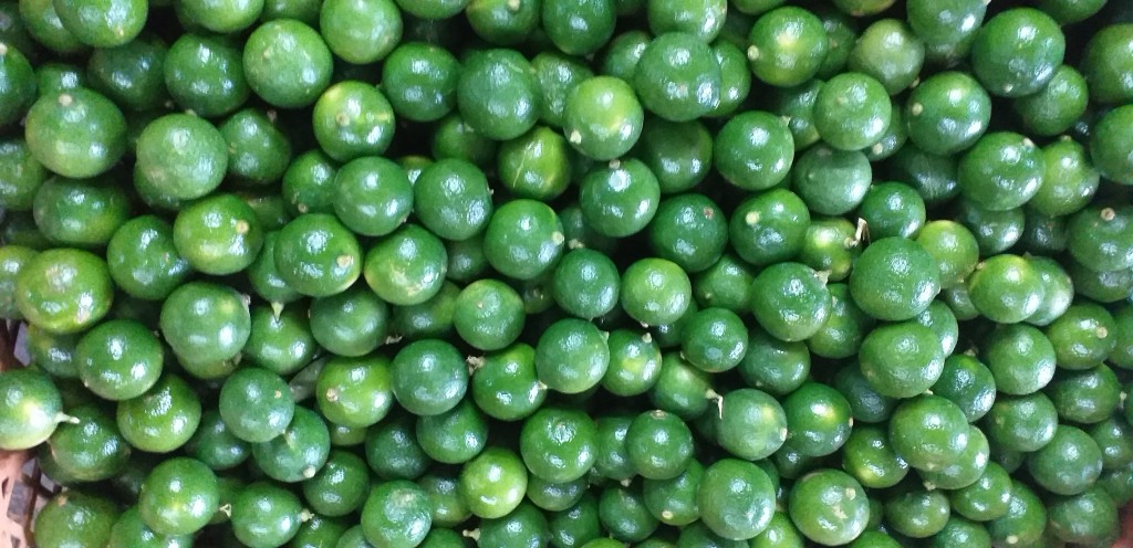 Limon pajarito
