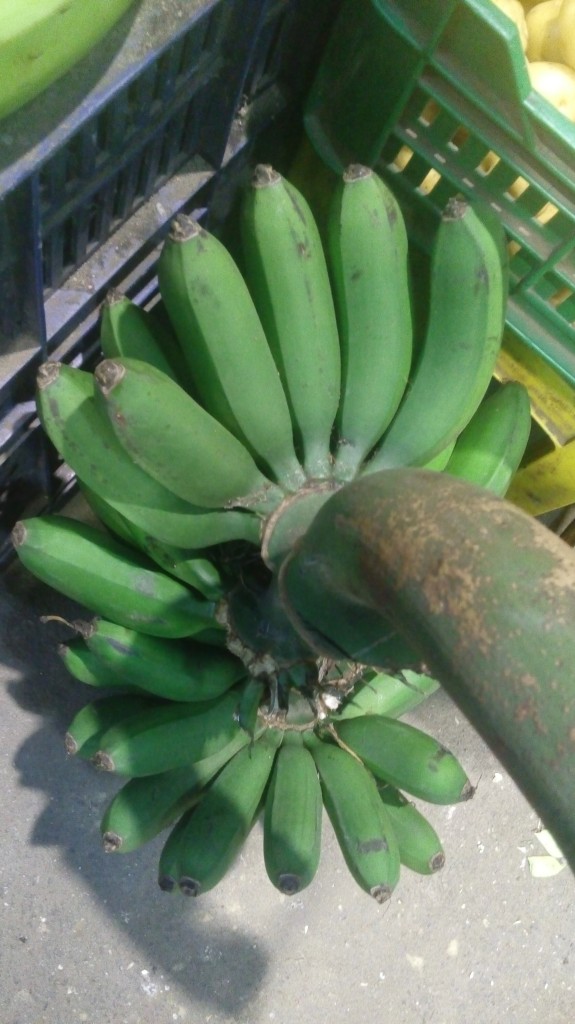 Colicero