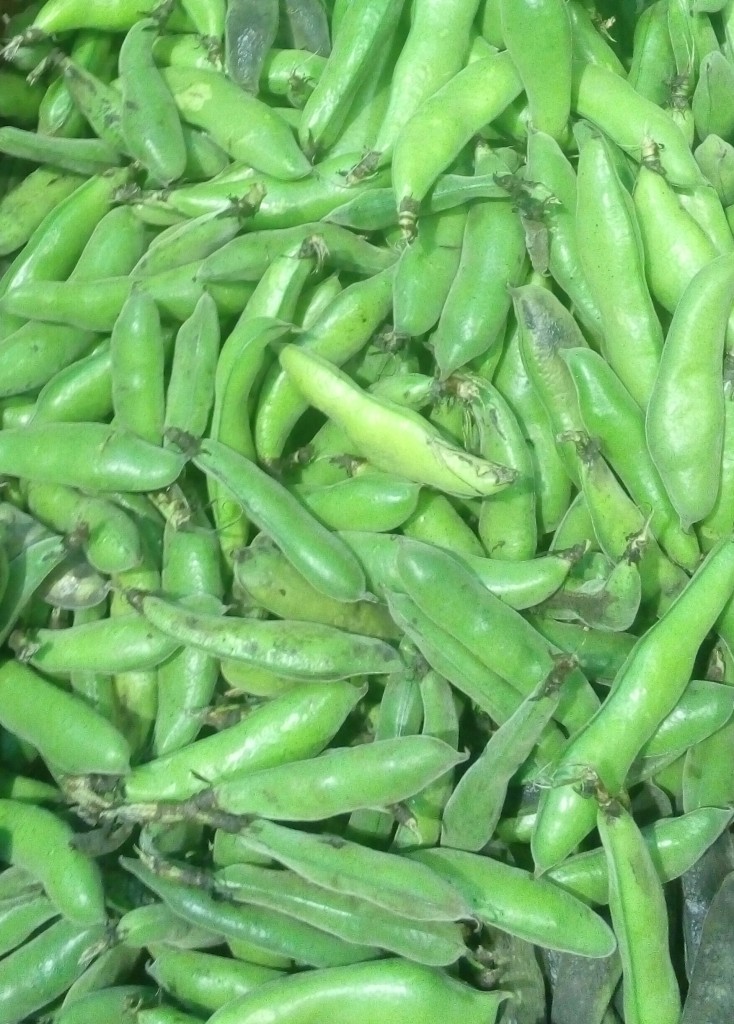 Arveja en cascara