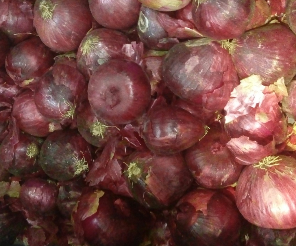Cebolla cabezona morada