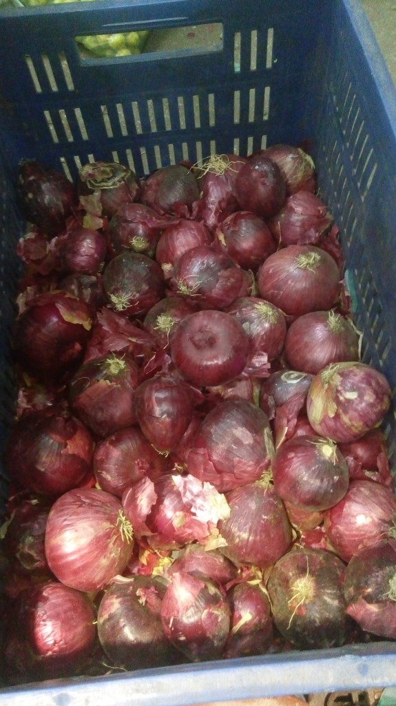 Cebolla cabezona morada